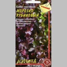 Салат Морозко рубиновый - Семена Тут