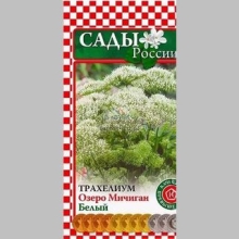 Трахелиум Озеро Мичиган Белый - Семена Тут