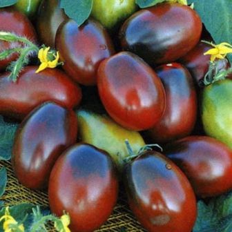 Томат Ультрамарин F1