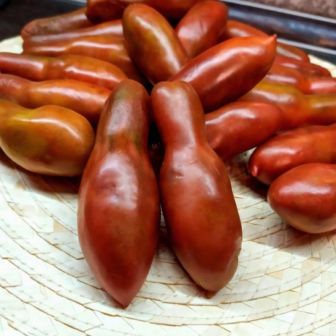 Томат Фляшен Коричневый (большой пакет)