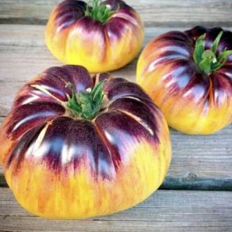 Томат Сарт Ролуаз