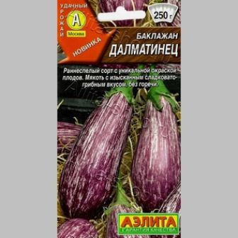 Баклажан Далматинец