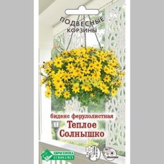 Биденс Теплое Солнышко (ферулолистная)