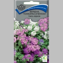 Вербена тонкорассеченная Смесь окрасок - Семена Тут