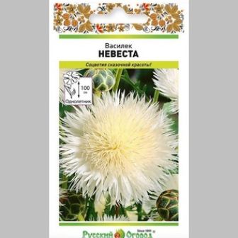 Василек Невеста
