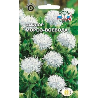 Сафлор Мороз-воевода (красильный)