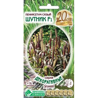 Пеннисетум Шутник F1 (сизый)