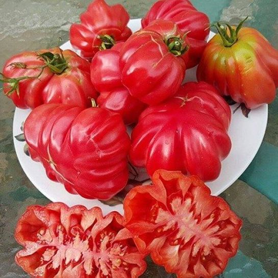 Томат Пузата хата розовая