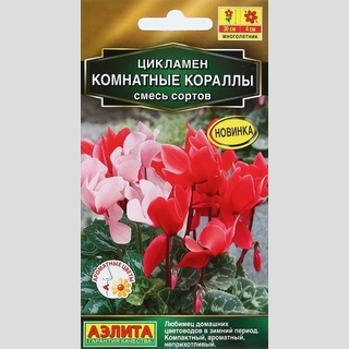 Цикламен Комнатные кораллы смесь - Семена Тут