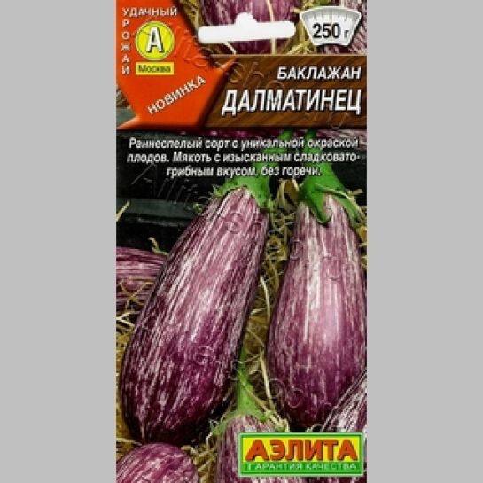 Баклажан Далматинец