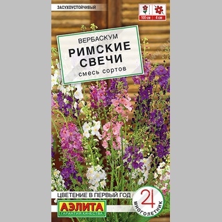 Вербаскум Римские свечи - Семена Тут