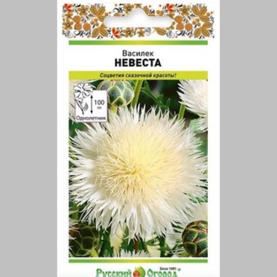 Василек Невеста
