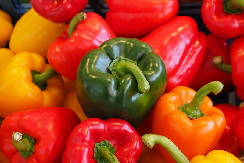 Как вырастить перец из семян