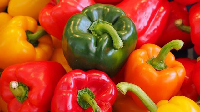 Как вырастить перец из семян