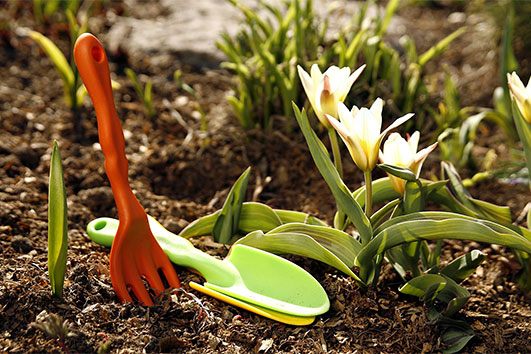 Лунный посевной календарь на апрель 2024 года