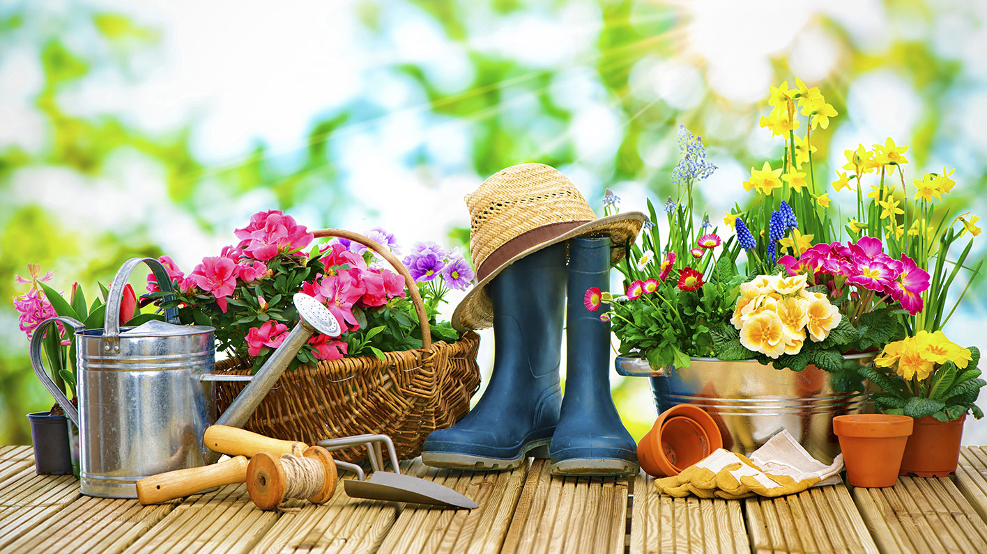 Советы от Сёмы. Майские заботы