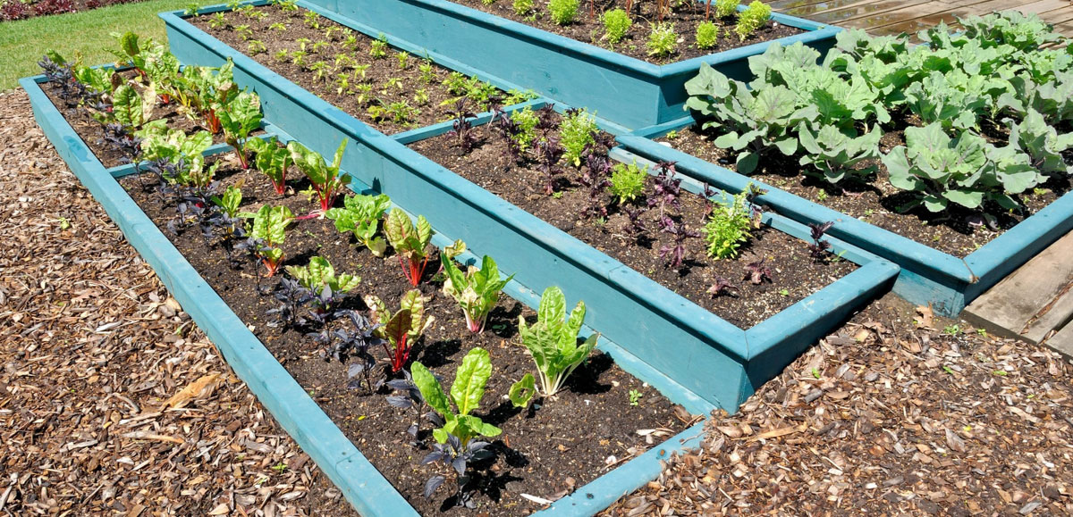 Лунный посевной календарь на&nbsp;июнь 2024 года