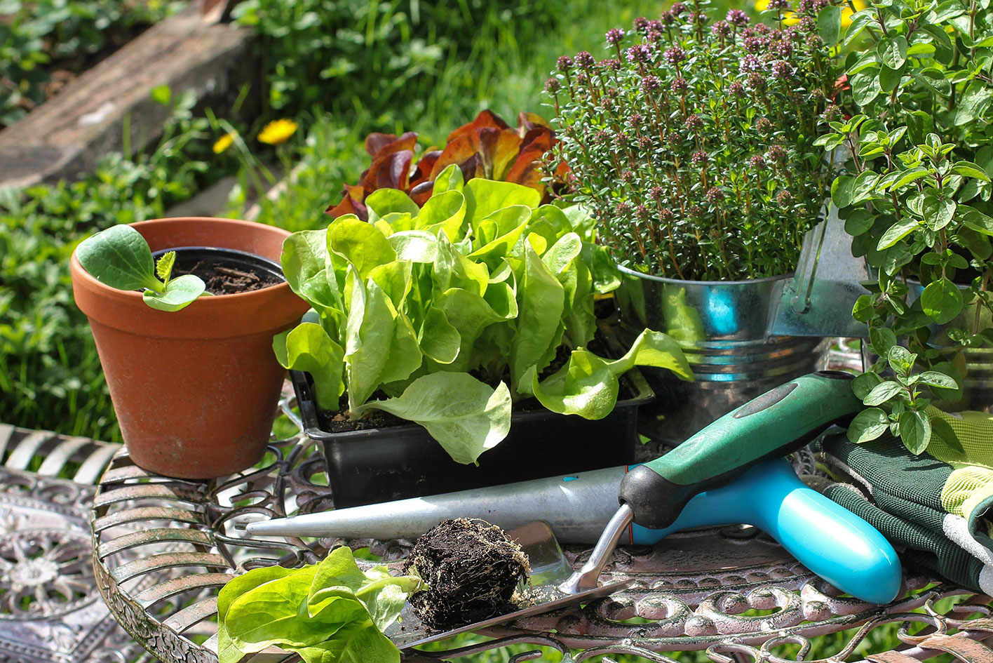 Лунный посевной календарь на июль 2024 года