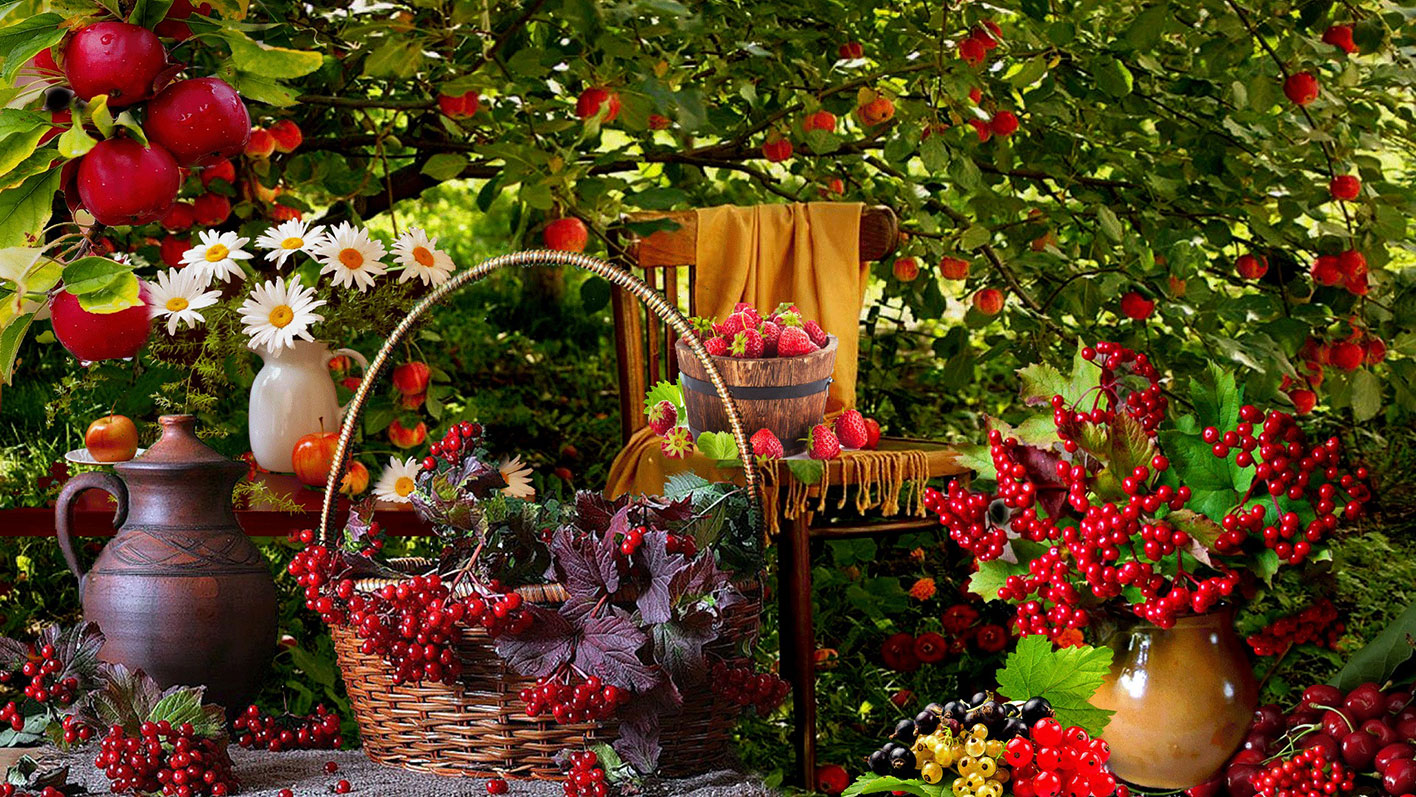 Лунный посевной календарь на август 2024 года