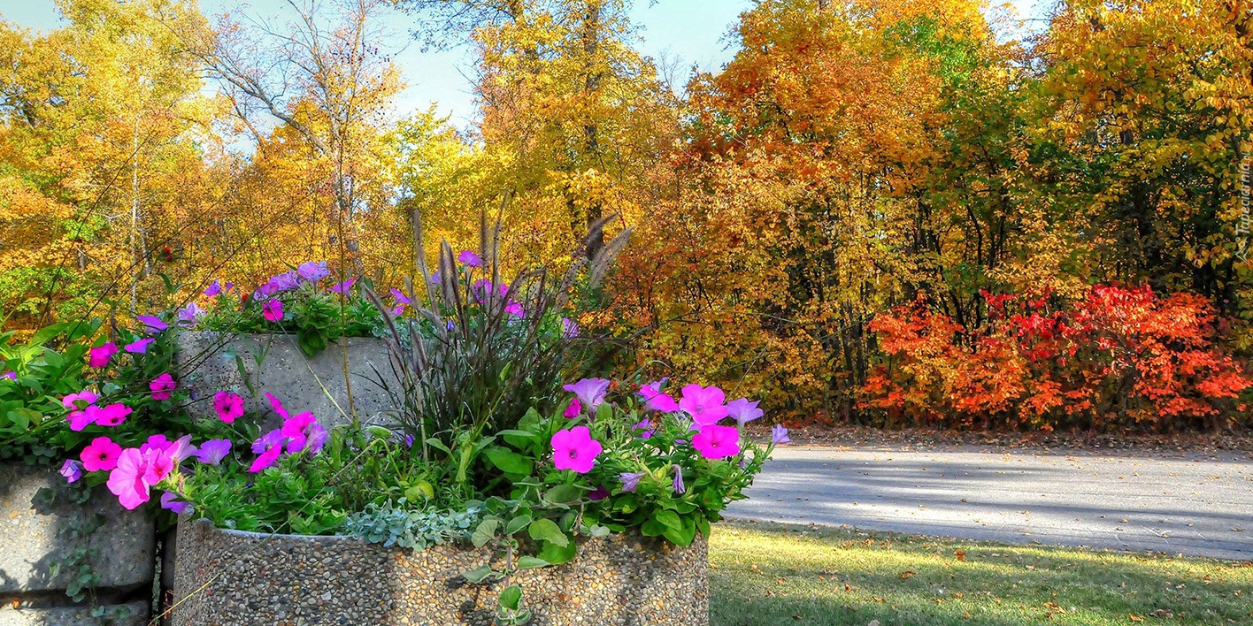 250930 lunnyj posevnoj kalendar 2