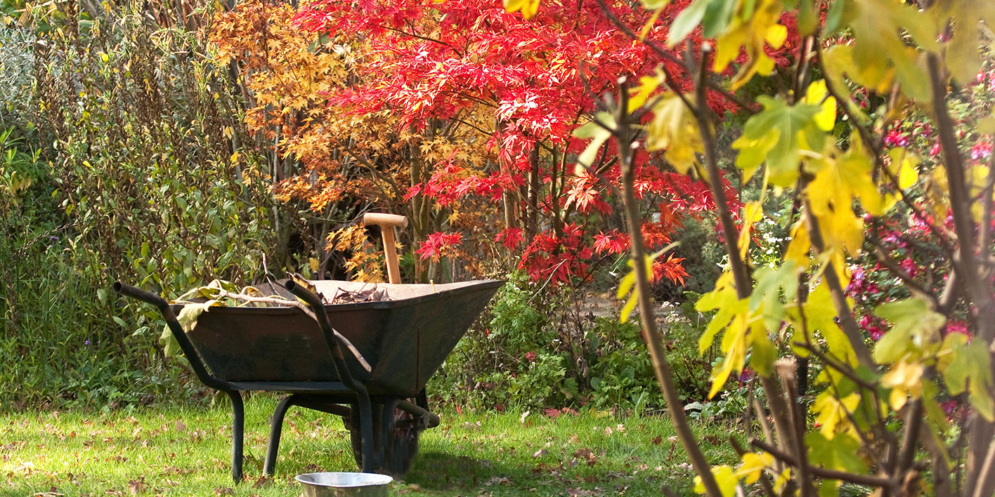 Лунный посевной календарь на октябрь 2025 года