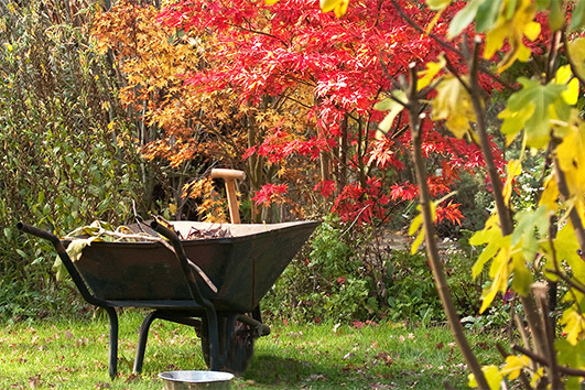 Лунный посевной календарь на октябрь 2025 года