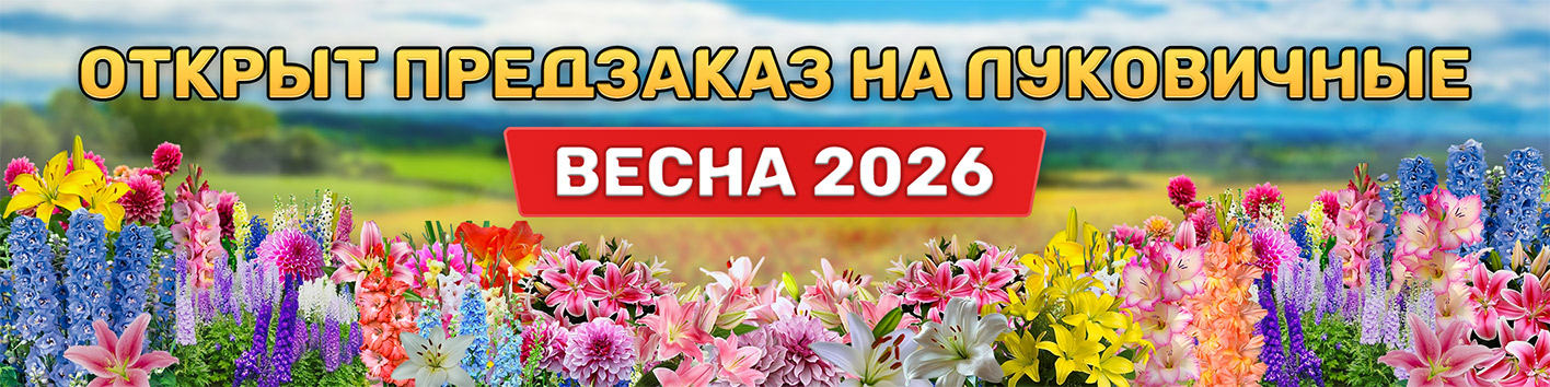 Открыт предзаказ на луковичные ВЕСНА 2026!
