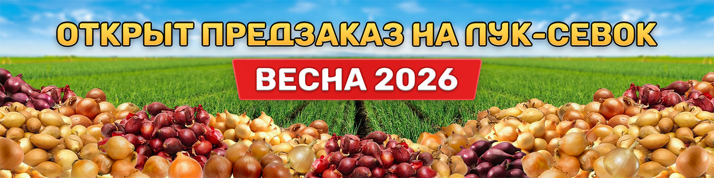 Открыт предзаказ на лук-севок «Весна 2026»