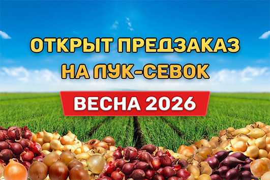 Открыт предзаказ на лук-севок «Весна 2026»
