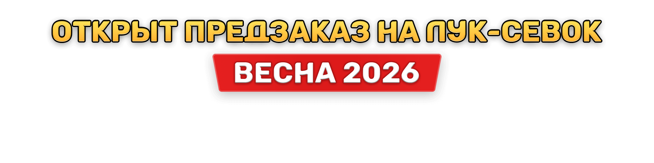 Открыт предзаказ на лук-севок «Весна 2026»