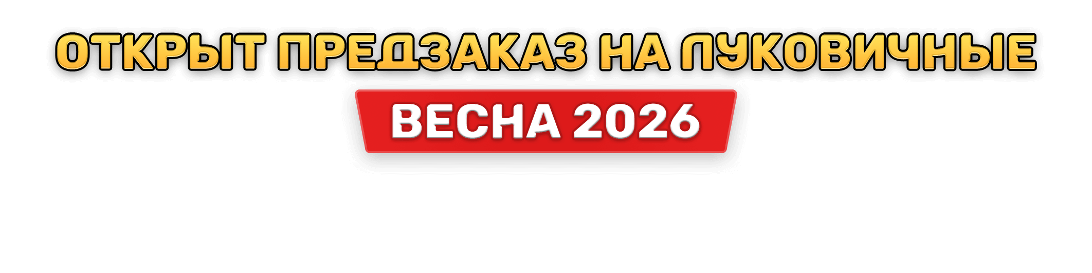 Предзаказ на луковичные 2026